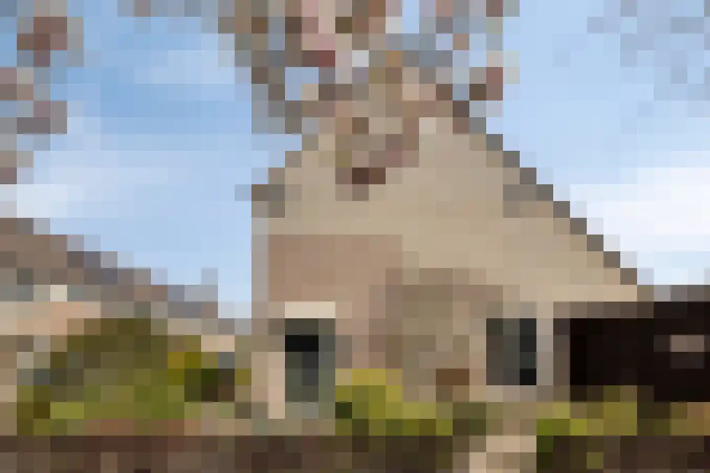 Gerard Wilschutpad 13 Hoogvliet Rotterdam thumbnail 8