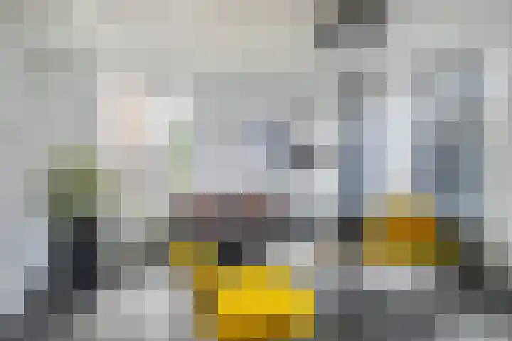 Gerard Wilschutpad 15 Hoogvliet Rotterdam thumbnail 11