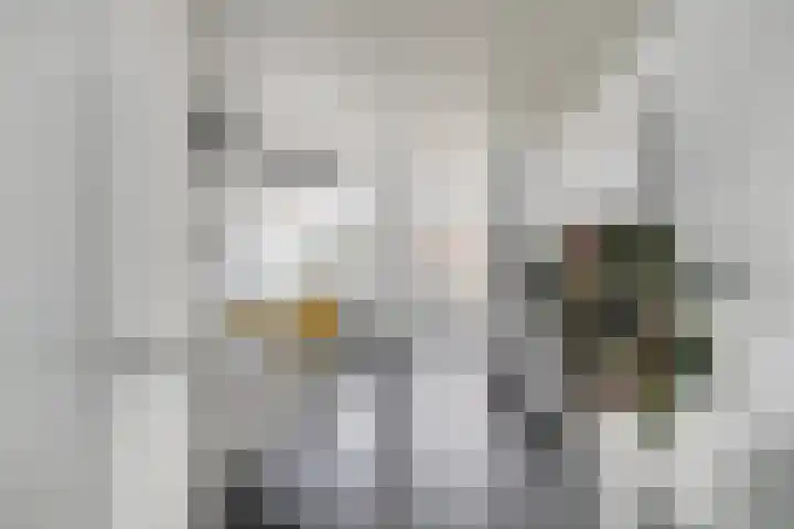 Gerard Wilschutpad 15 Hoogvliet Rotterdam thumbnail 14