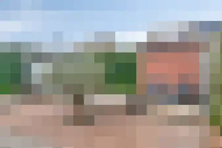 Gerard Wilschutpad 15 Hoogvliet Rotterdam thumbnail 26