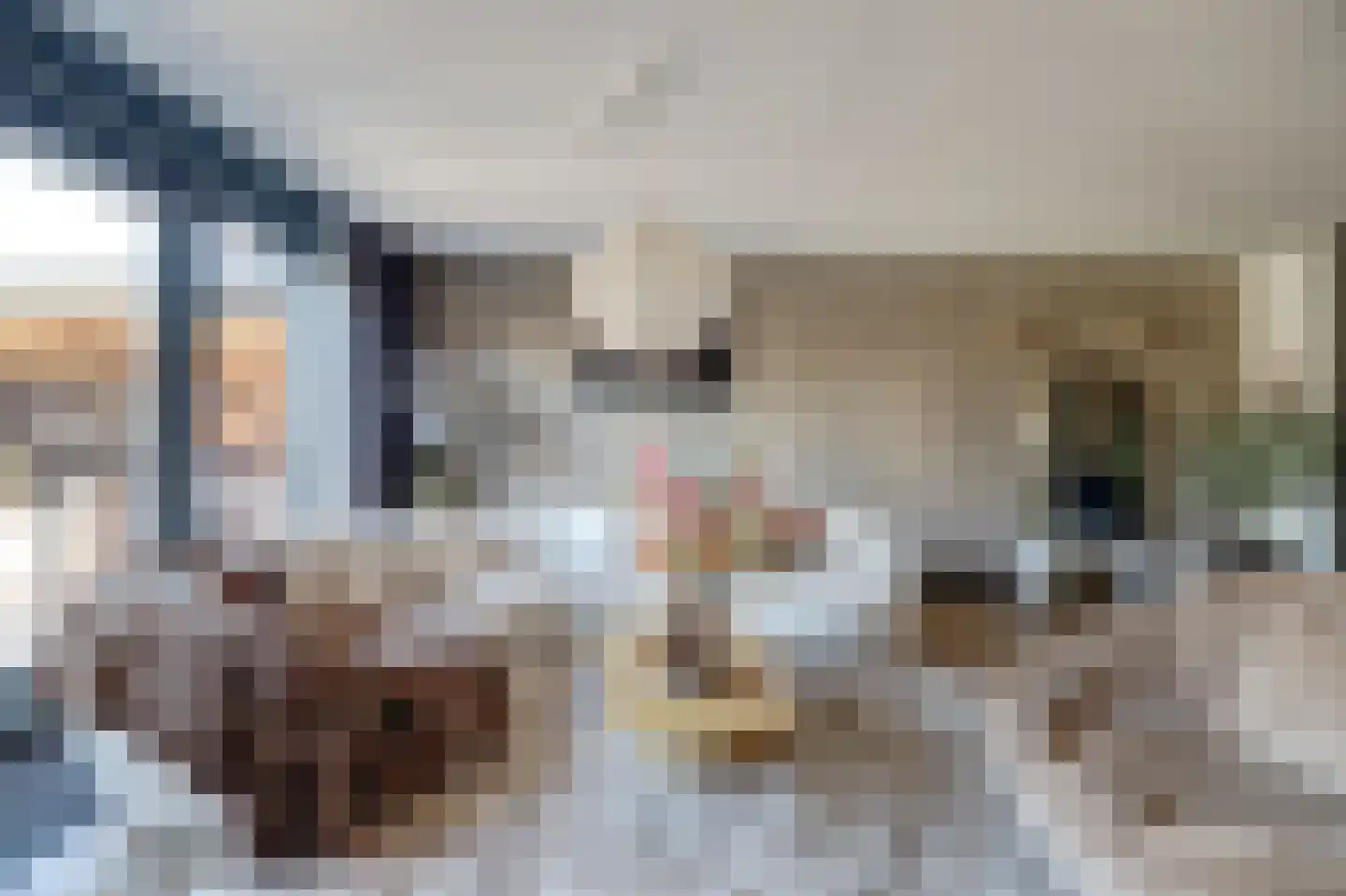 Gerardshoeve 11 Waddinxveen thumbnail 12