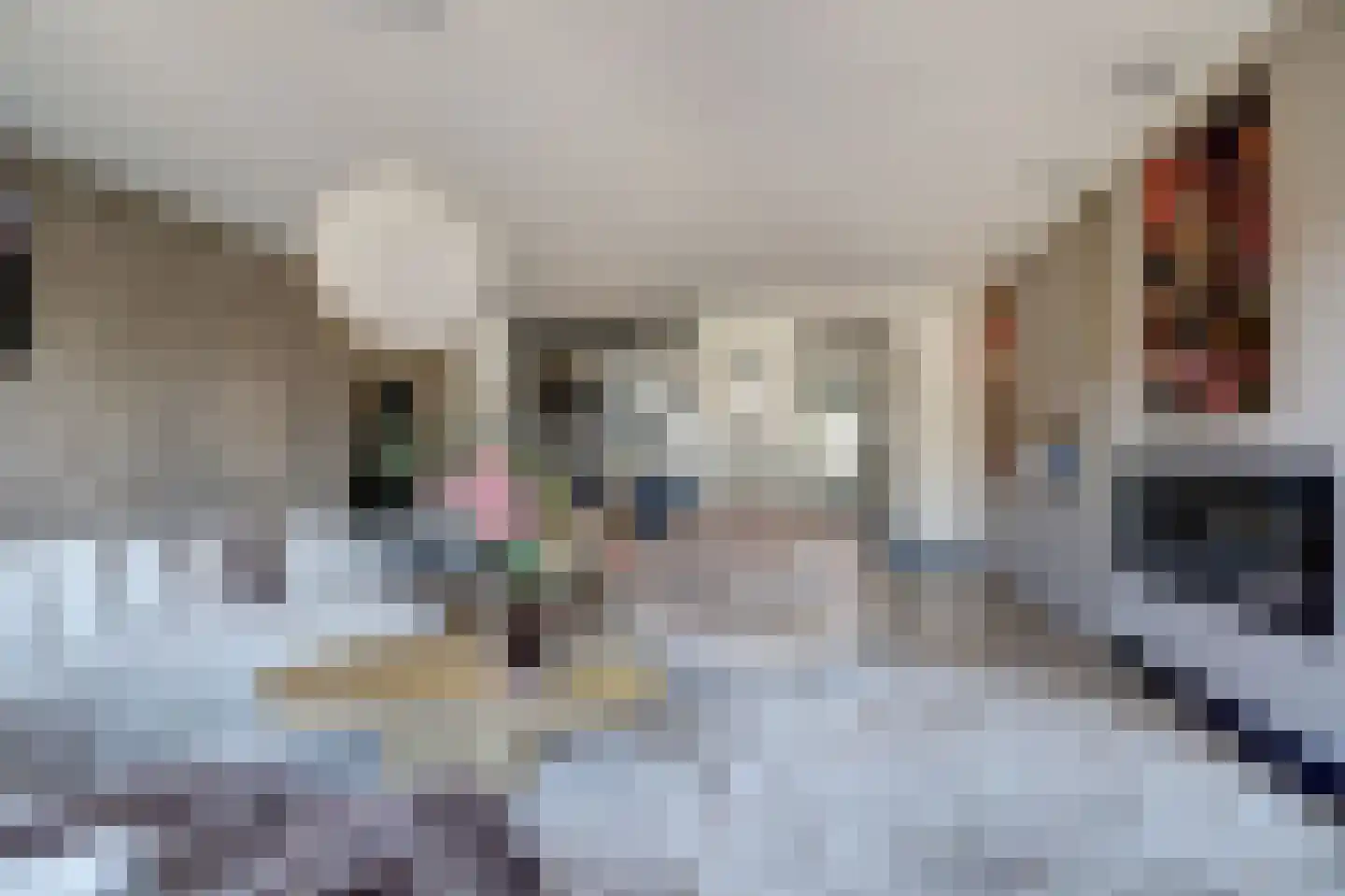 Gerardshoeve 11 Waddinxveen thumbnail 13