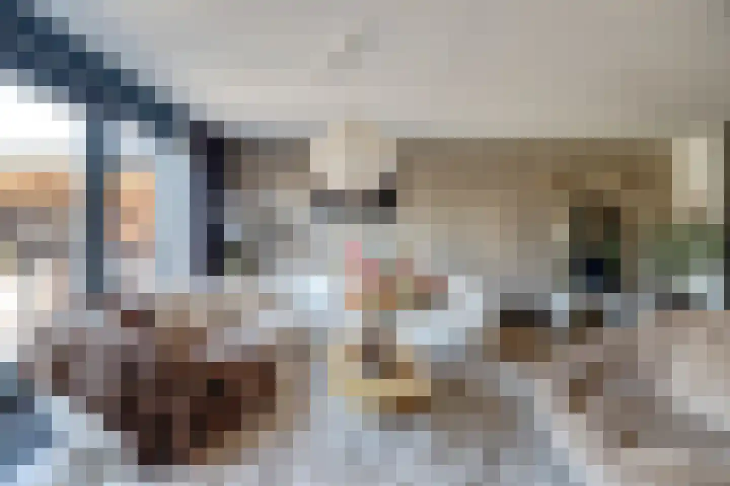 Gerardshoeve 11 Waddinxveen thumbnail 13