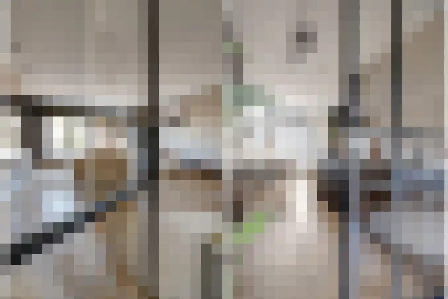 Gerardshoeve 11 Waddinxveen thumbnail 15