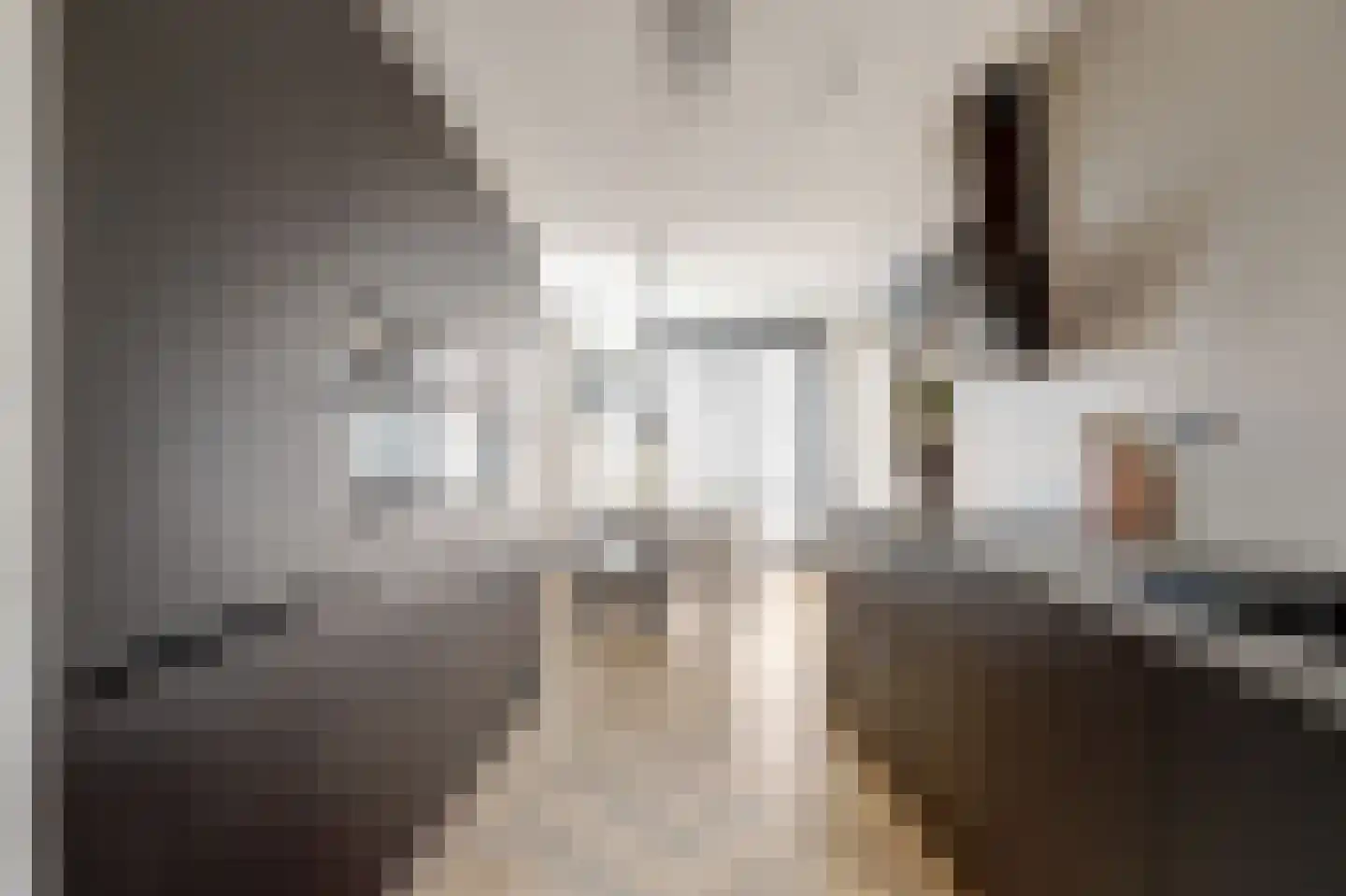 Gerardshoeve 11 Waddinxveen thumbnail 17