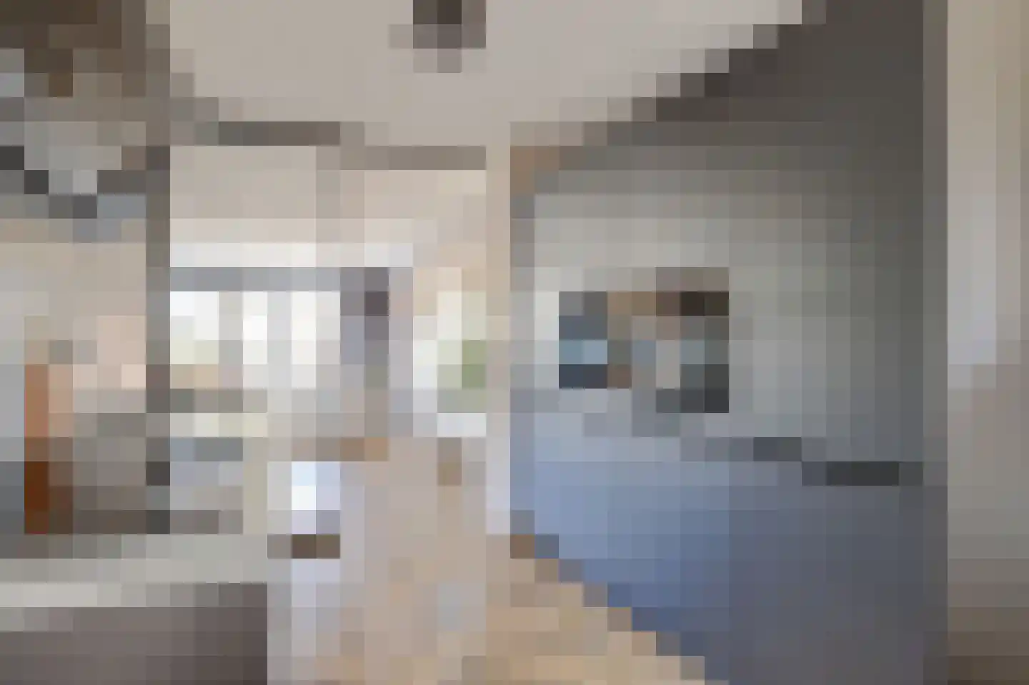 Gerardshoeve 11 Waddinxveen thumbnail 19