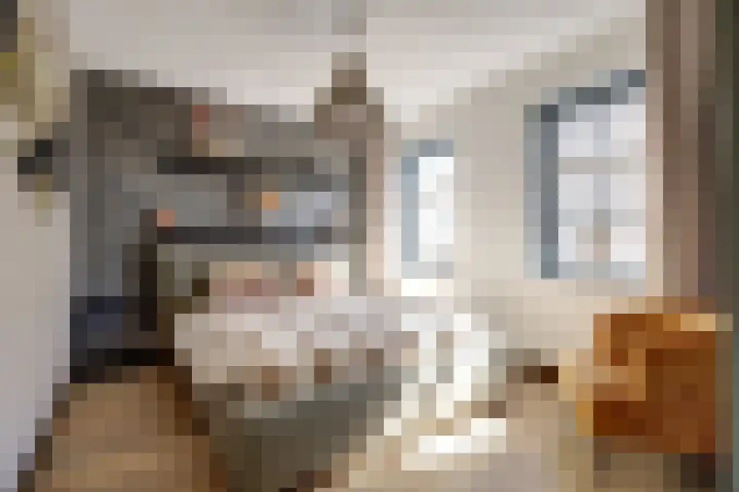 Gerardshoeve 11 Waddinxveen thumbnail 25