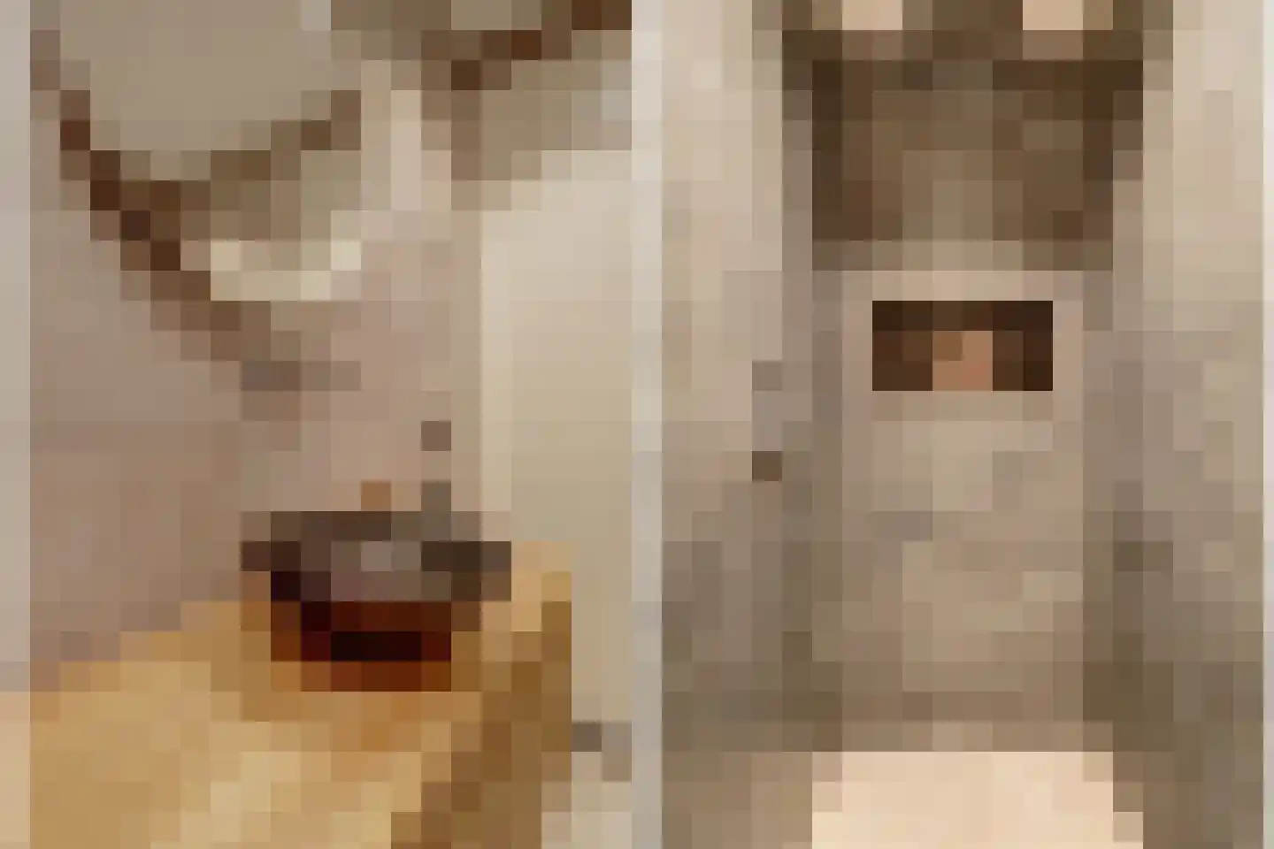 Gerardshoeve 11 Waddinxveen thumbnail 27
