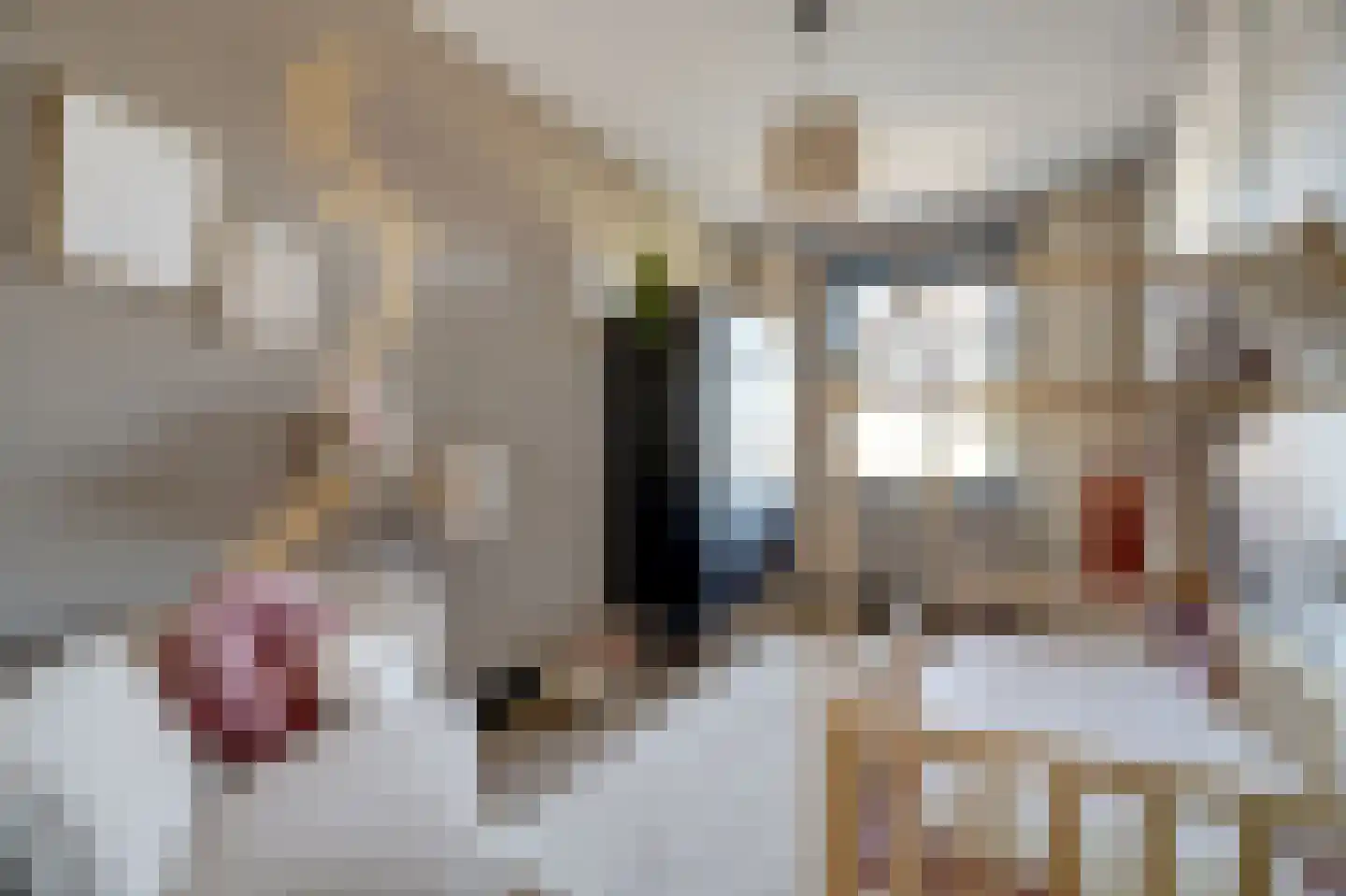 Gerardshoeve 11 Waddinxveen thumbnail 30