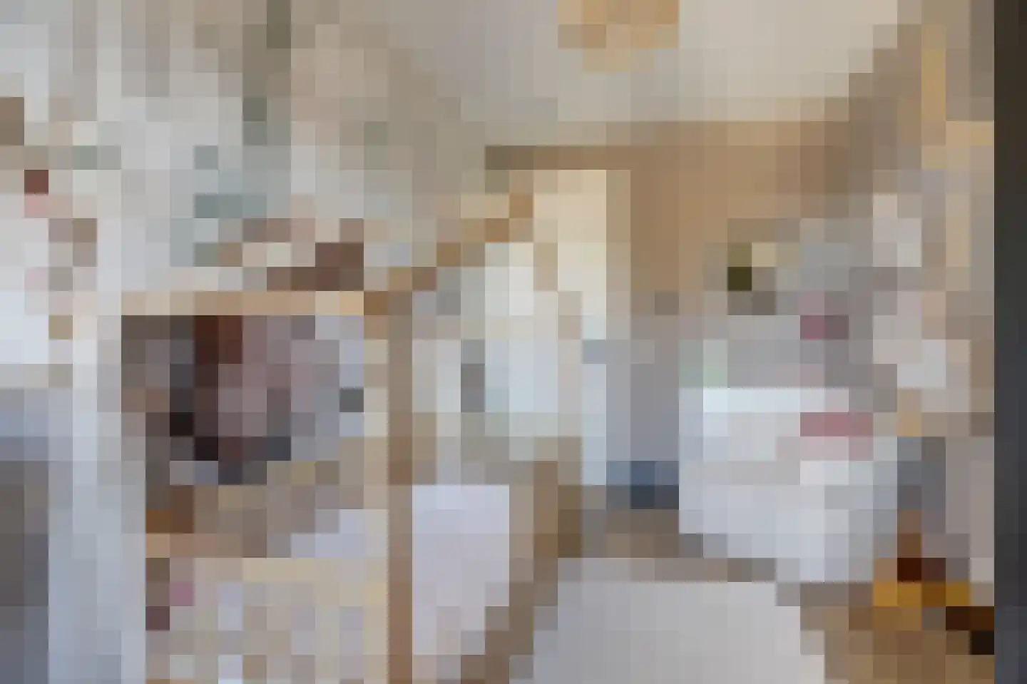 Gerardshoeve 11 Waddinxveen thumbnail 31