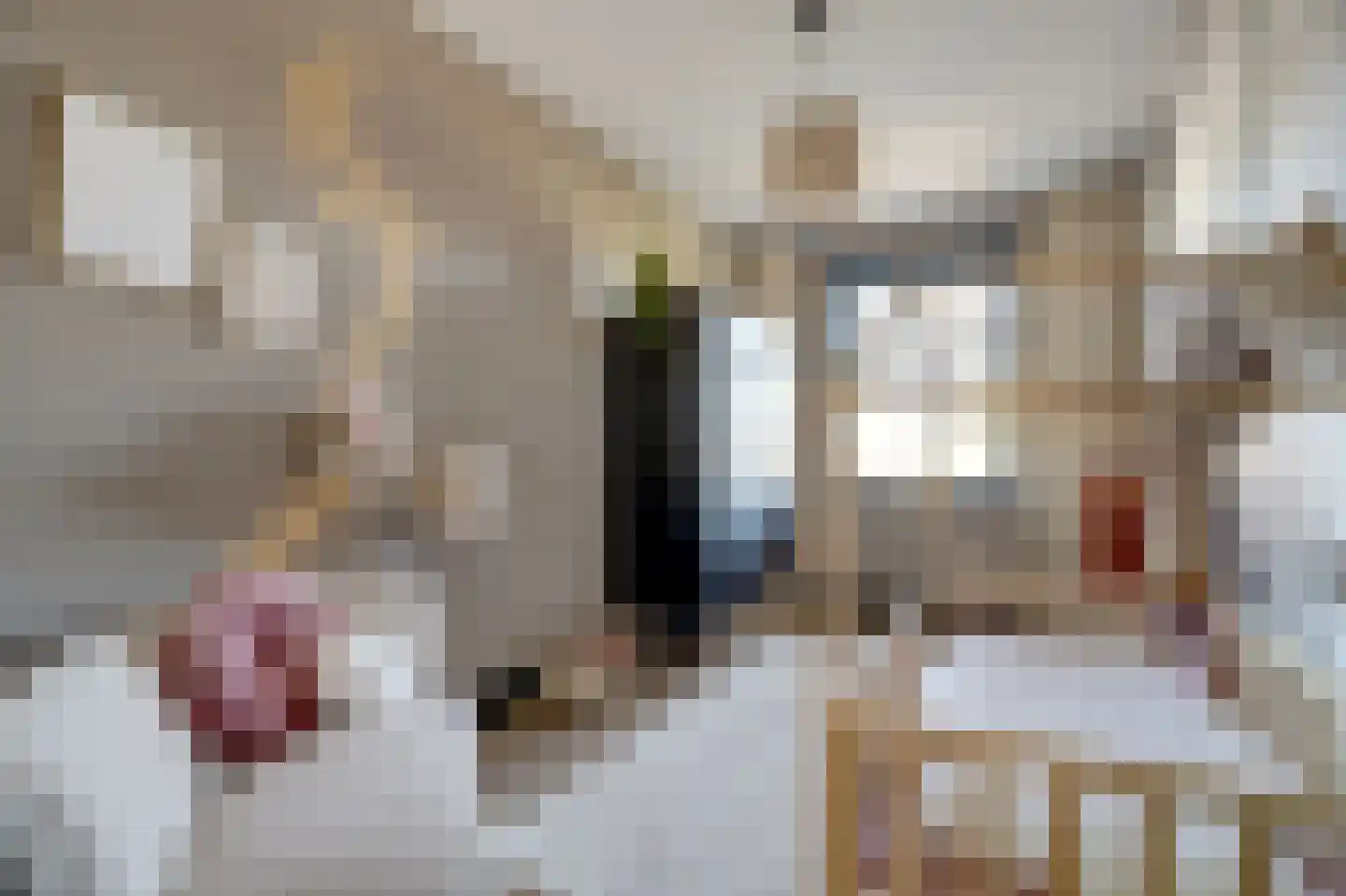 Gerardshoeve 11 Waddinxveen thumbnail 32