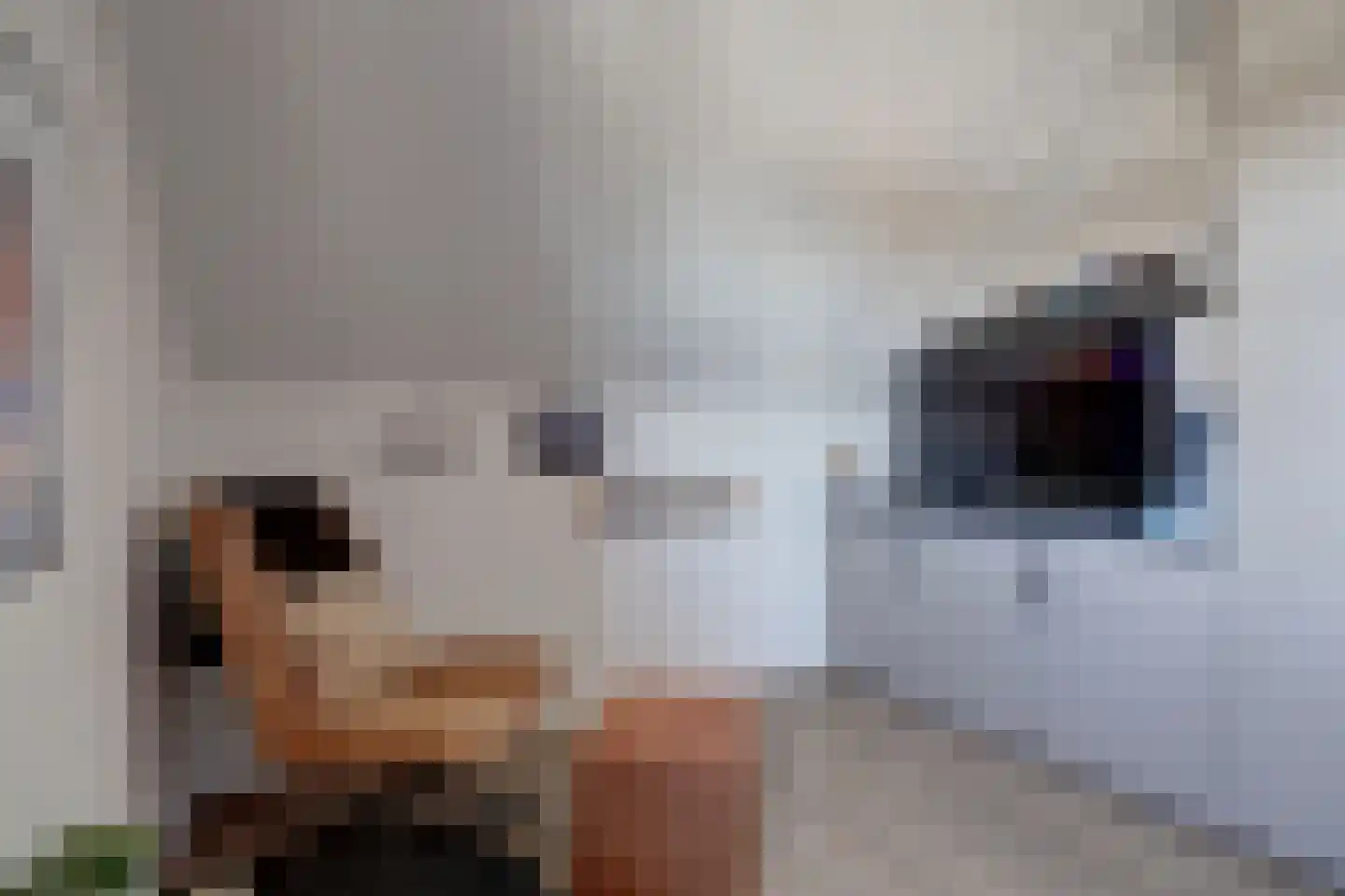 Gerardshoeve 11 Waddinxveen thumbnail 36