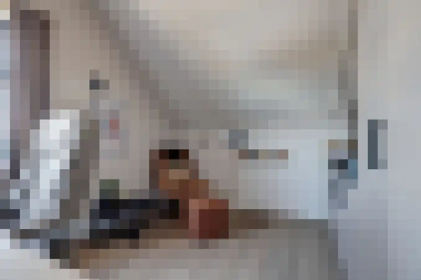 Gerardshoeve 11 Waddinxveen thumbnail 37