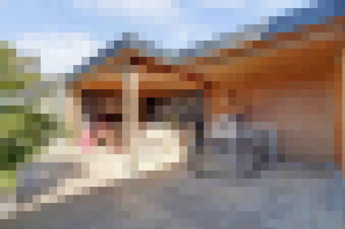 Gerardshoeve 11 Waddinxveen thumbnail 42