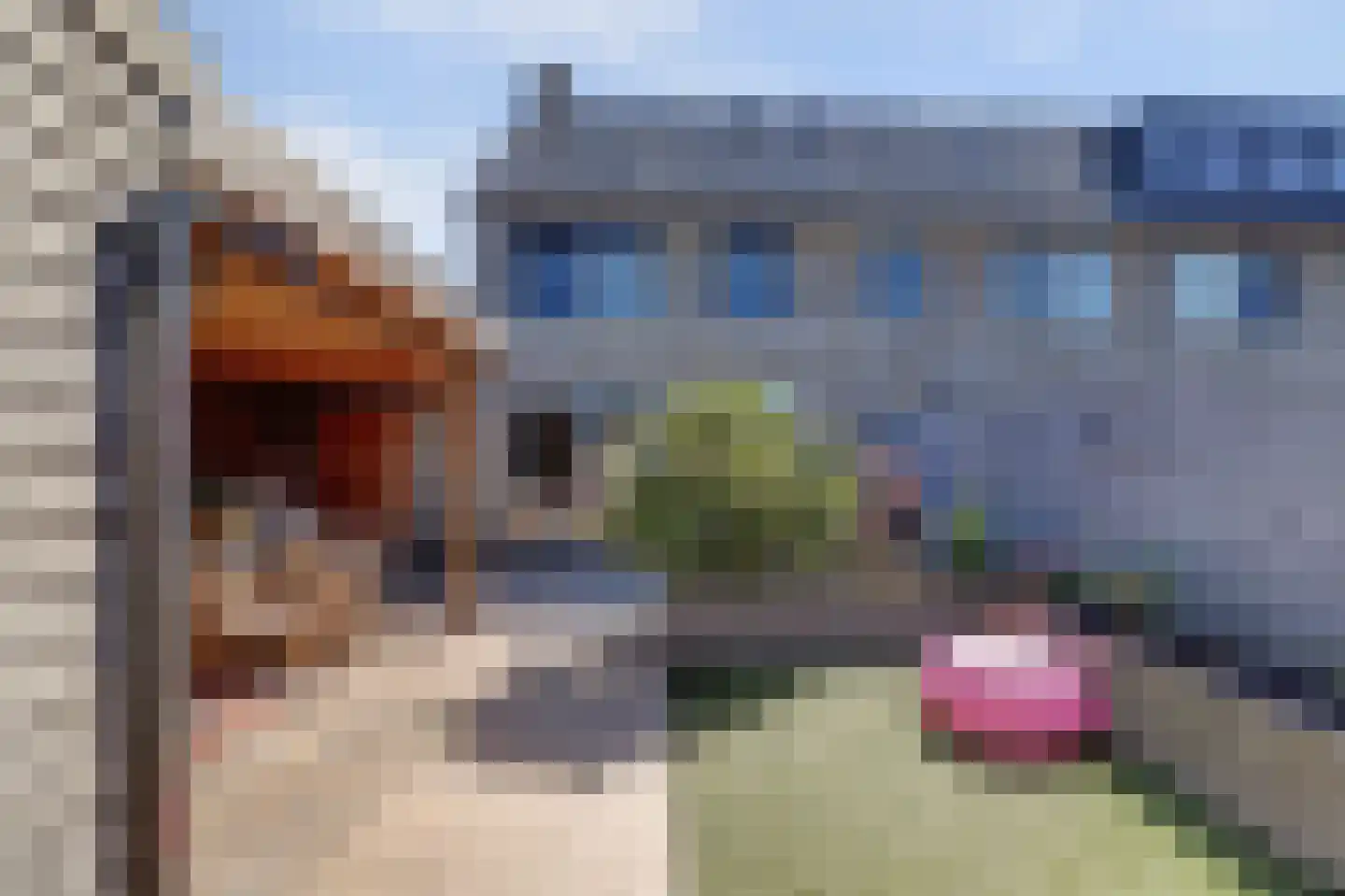 Gerardshoeve 11 Waddinxveen thumbnail 45