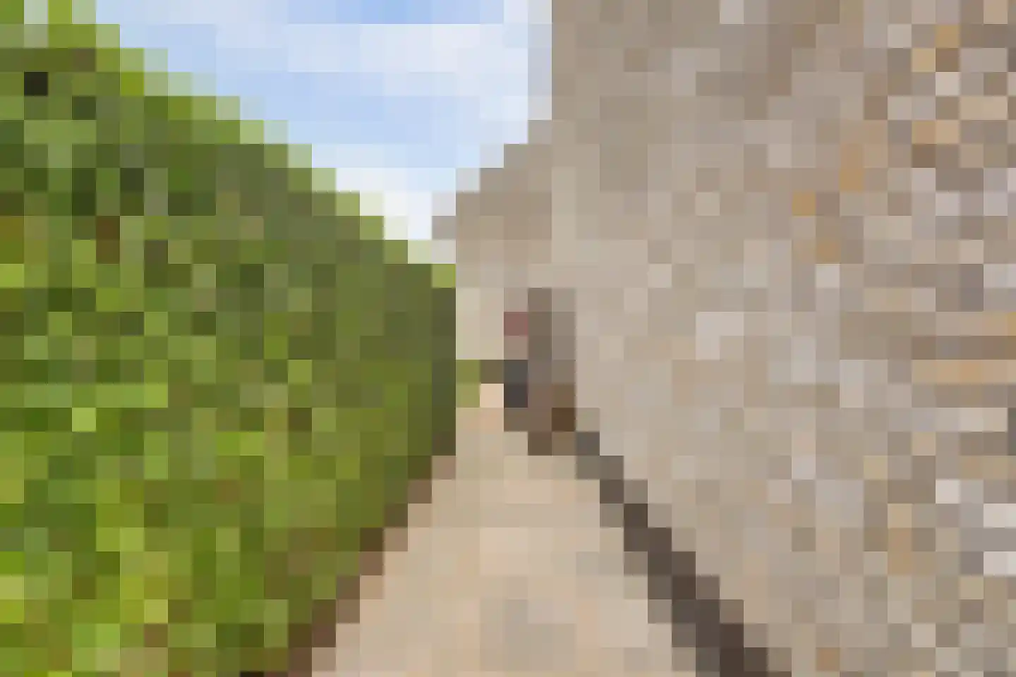 Gerardshoeve 11 Waddinxveen thumbnail 47