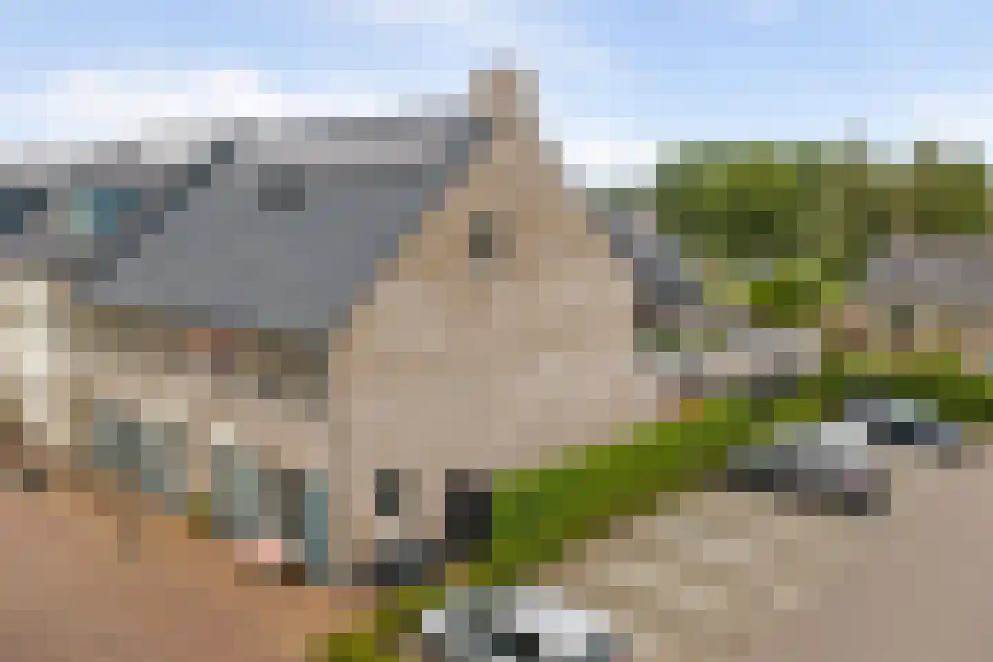 Gerardshoeve 11 Waddinxveen thumbnail 49