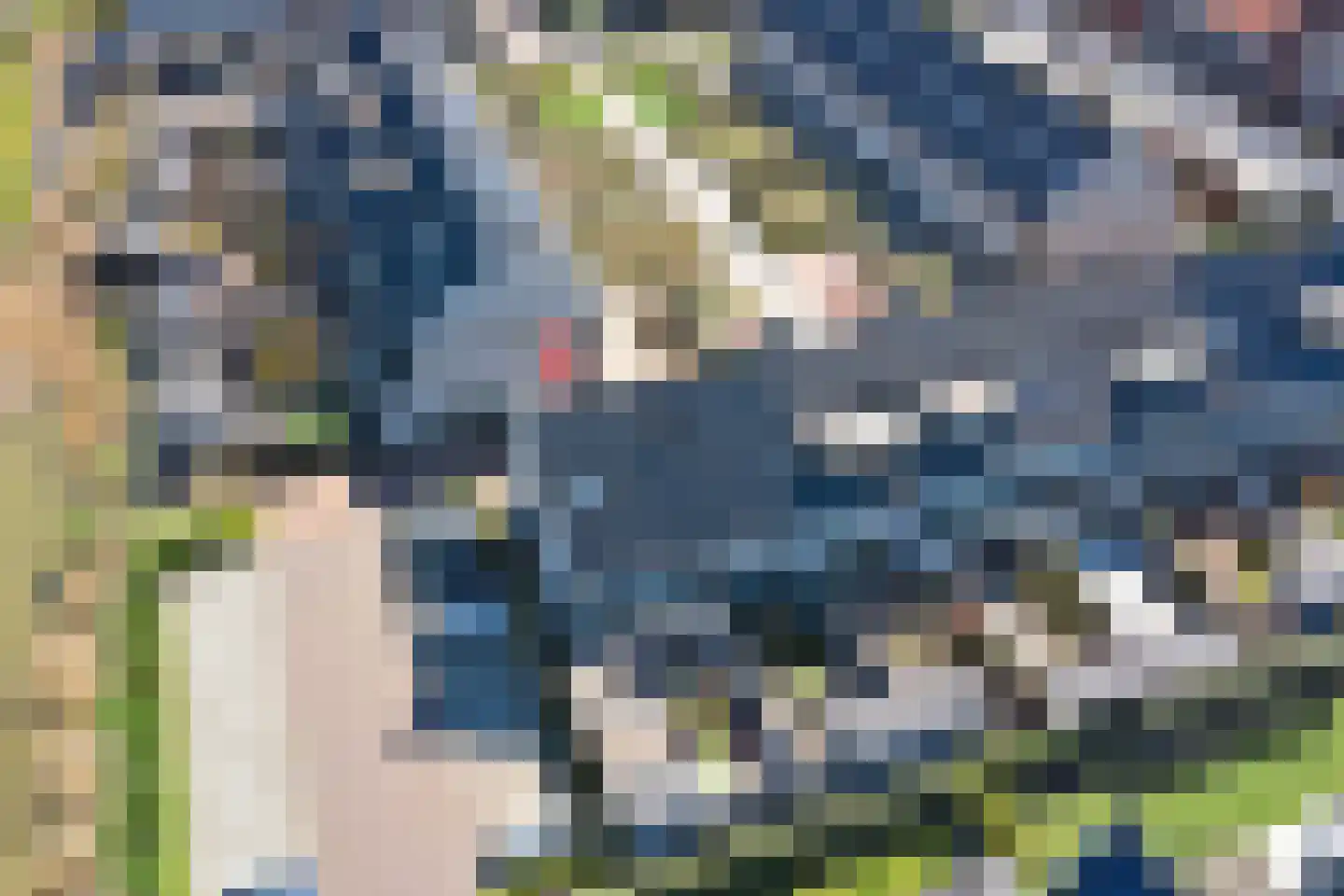 Gerardshoeve 11 Waddinxveen thumbnail 6