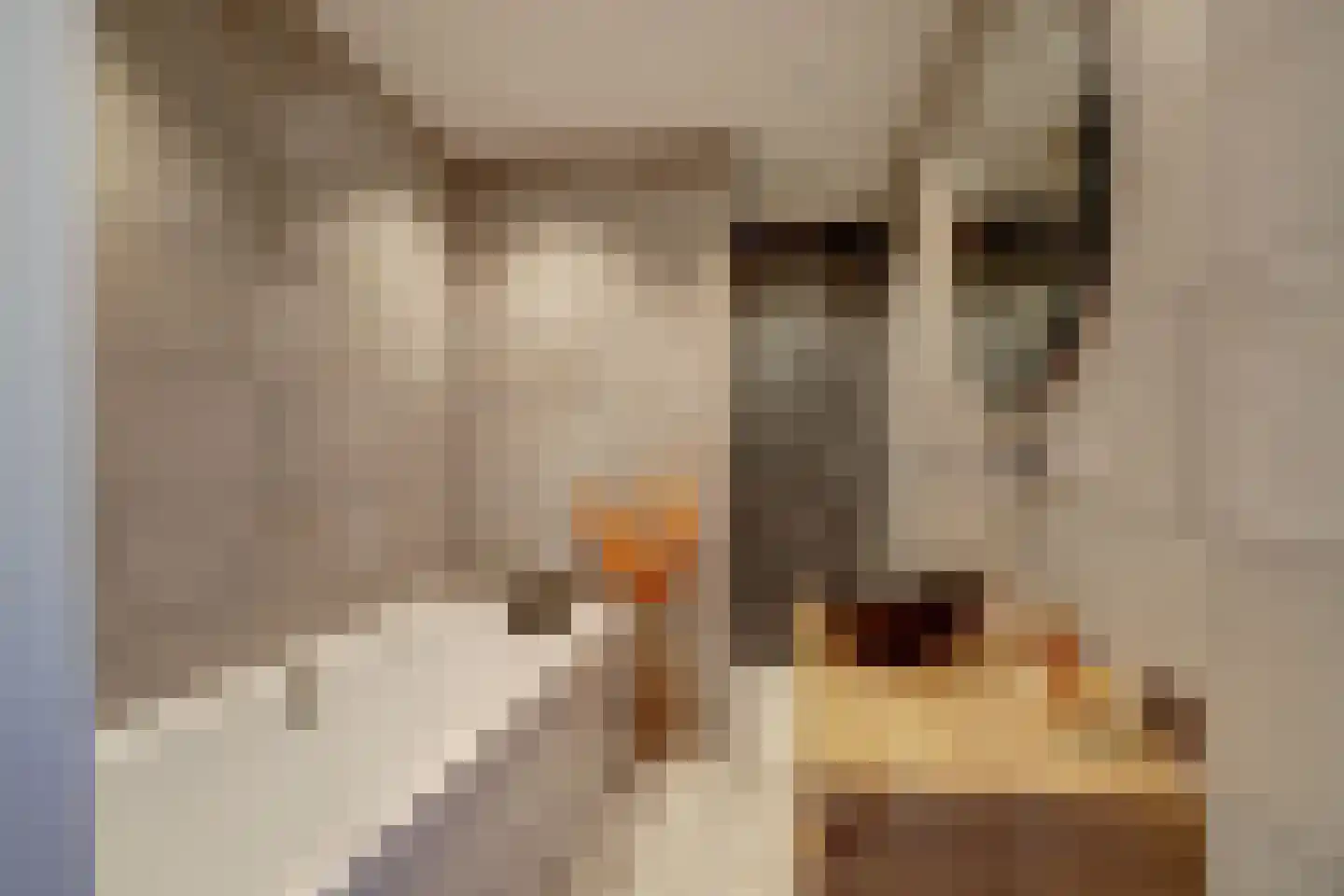 Gerardshoeve 11 Waddinxveen thumbnail 6