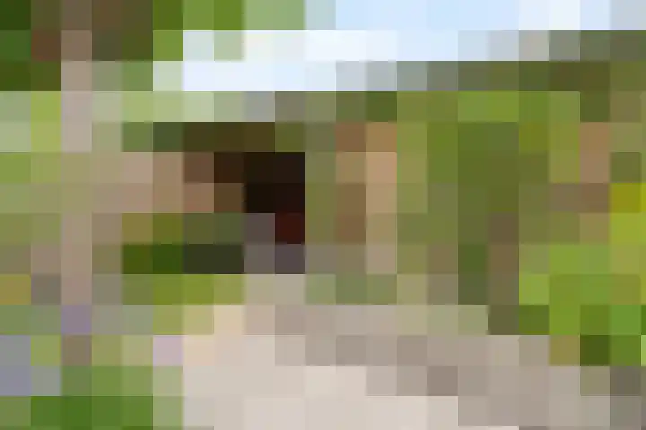 Gerardshoeve 17 Waddinxveen thumbnail 13