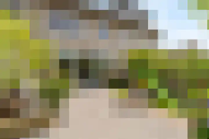 Gerardshoeve 17 Waddinxveen thumbnail 14