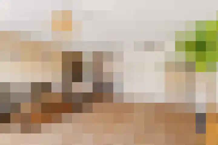 Gerardshoeve 17 Waddinxveen thumbnail 15