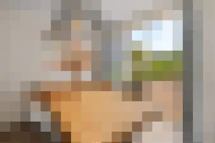 Gerardshoeve 17 Waddinxveen thumbnail 17