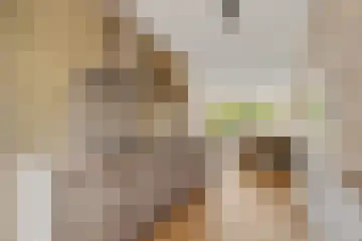 Gerardshoeve 17 Waddinxveen thumbnail 19