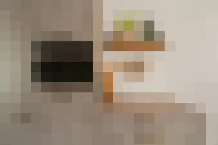 Gerardshoeve 17 Waddinxveen thumbnail 20