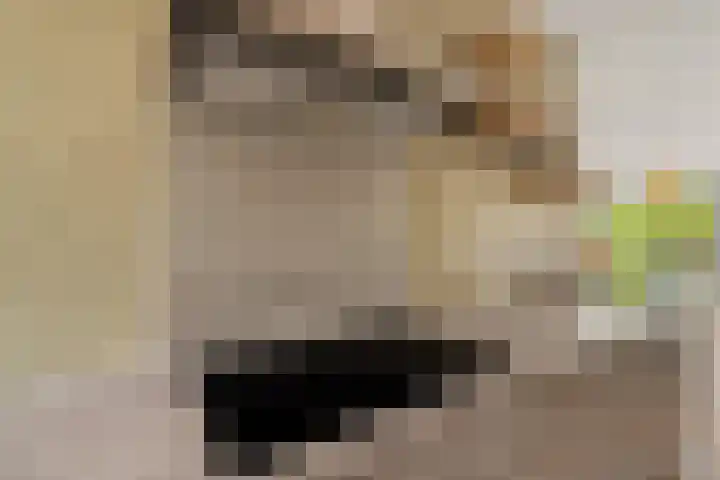 Gerardshoeve 17 Waddinxveen thumbnail 21