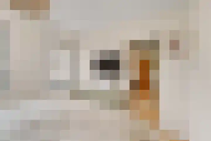 Gerardshoeve 17 Waddinxveen thumbnail 26