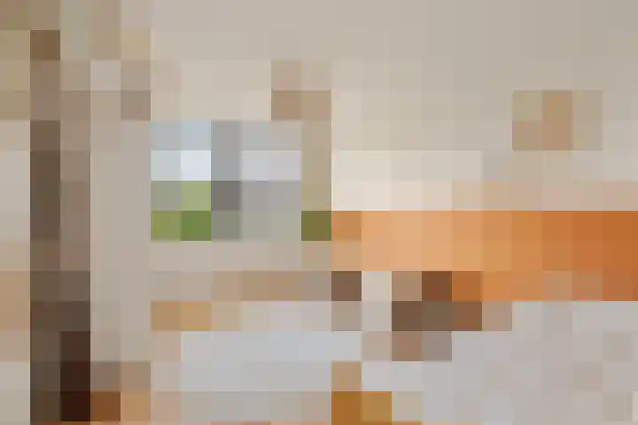 Gerardshoeve 17 Waddinxveen thumbnail 27