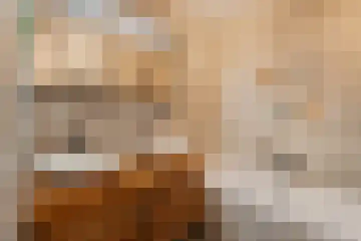 Gerardshoeve 17 Waddinxveen thumbnail 34