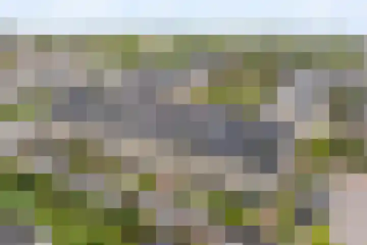 Gerardshoeve 17 Waddinxveen thumbnail 41