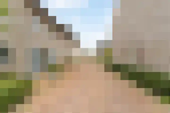 Gerardshoeve 17 Waddinxveen thumbnail 42
