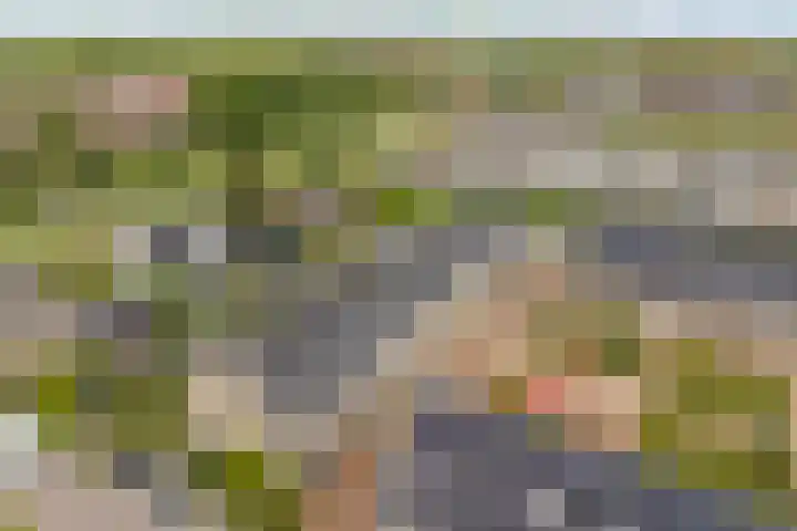 Gerardshoeve 17 Waddinxveen thumbnail 43