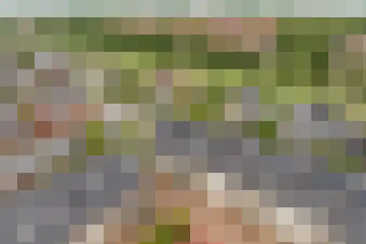 Gerardshoeve 17 Waddinxveen thumbnail 6