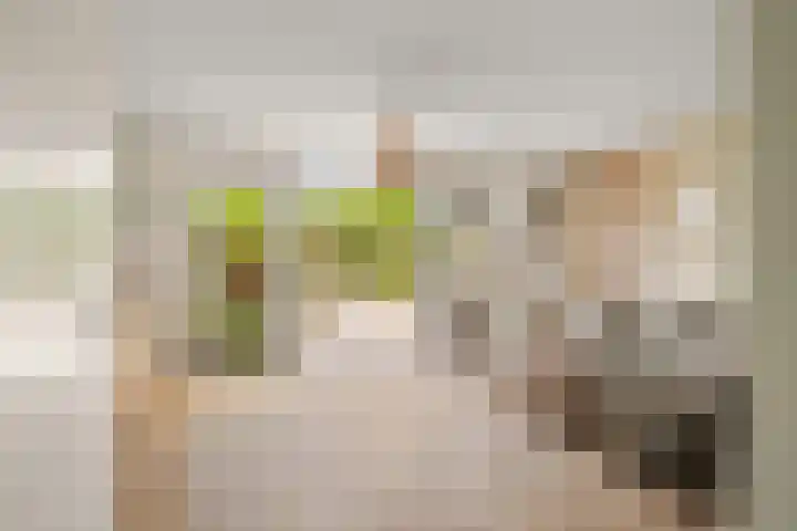 Gerardshoeve 17 Waddinxveen thumbnail 9