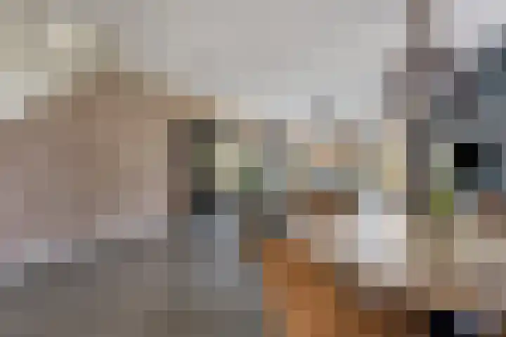 Gerardshoeve 19 Waddinxveen thumbnail 10