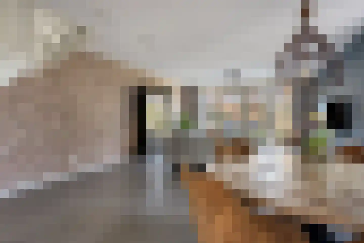 Gerardshoeve 19 Waddinxveen thumbnail 10