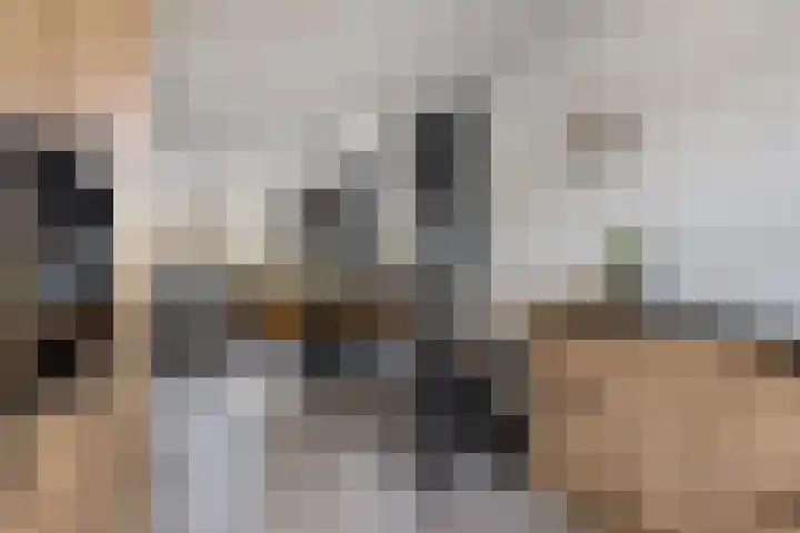 Gerardshoeve 19 Waddinxveen thumbnail 13