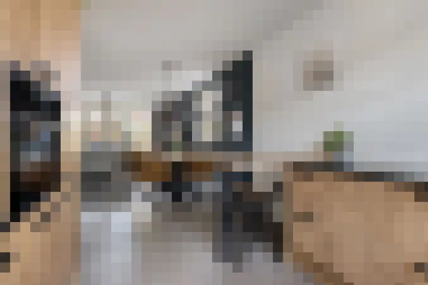 Gerardshoeve 19 Waddinxveen thumbnail 13