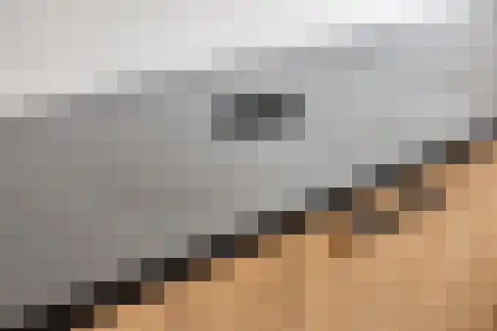 Gerardshoeve 19 Waddinxveen thumbnail 14
