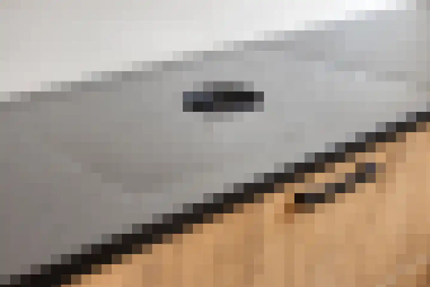 Gerardshoeve 19 Waddinxveen thumbnail 14