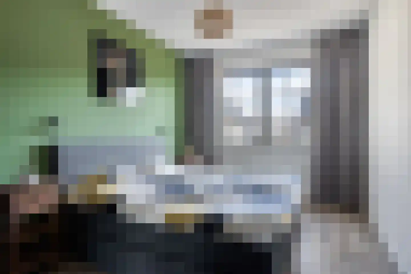 Gerardshoeve 19 Waddinxveen thumbnail 17