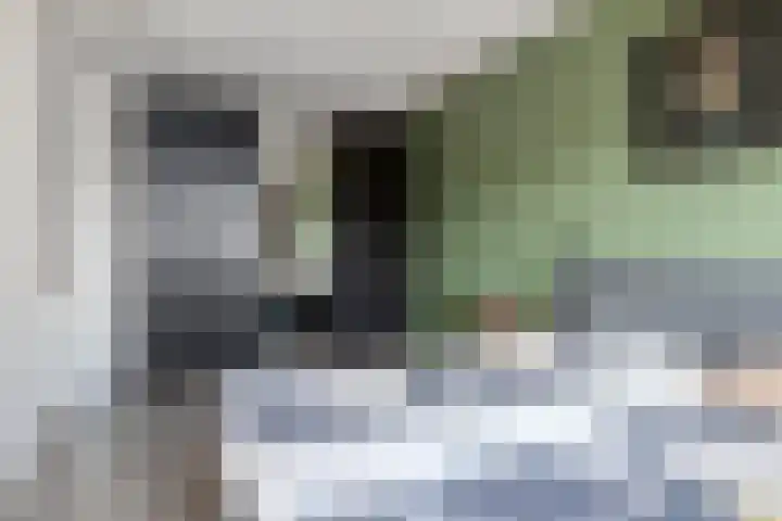 Gerardshoeve 19 Waddinxveen thumbnail 18