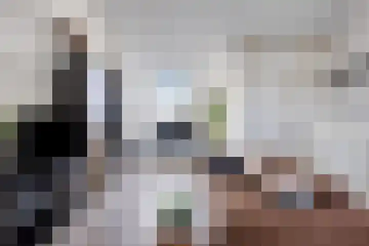 Gerardshoeve 19 Waddinxveen thumbnail 25