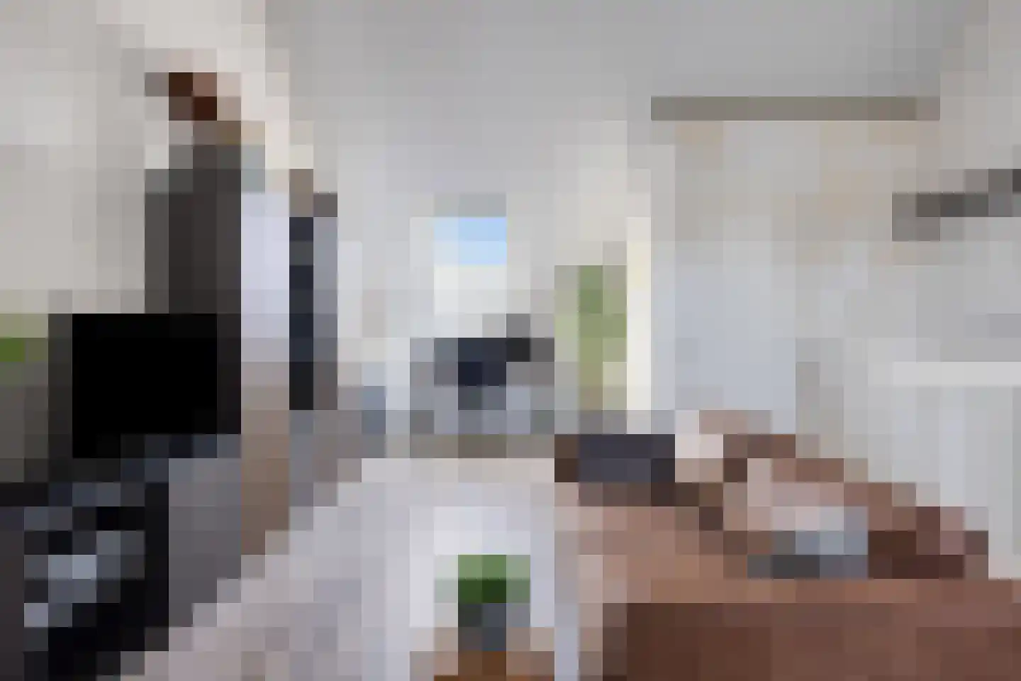 Gerardshoeve 19 Waddinxveen thumbnail 25