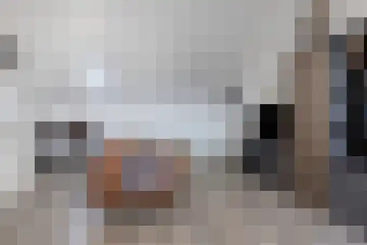 Gerardshoeve 19 Waddinxveen thumbnail 27