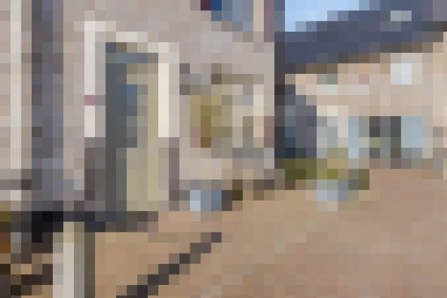 Gerardshoeve 19 Waddinxveen thumbnail 6